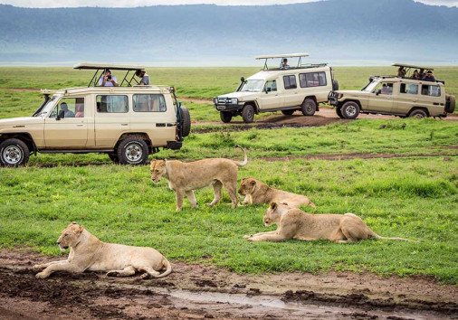 Ngorongoro Crater