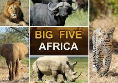 11 Days Namibia Wildlife Safari & Chobe National Park