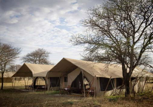 Serengeti Safari Camp