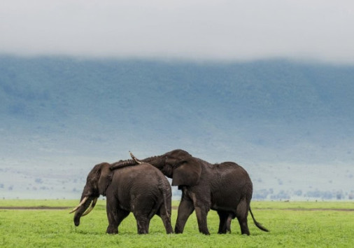 Whatsapp Image 2024 06 01 At 14.01.54 (1)