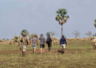 4 Days Walking Safari in Murchison Falls, Uganda