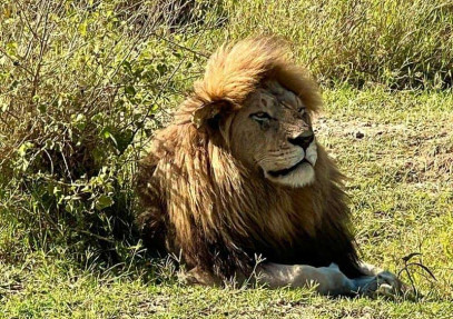 2 Days Tarangire & Ngorongoro Crater from/to Zanzibar