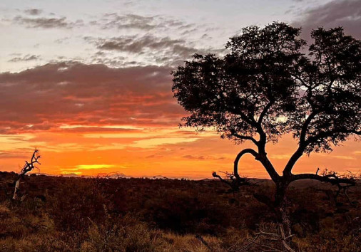 421946924 842862151216422 7891851490036113107 N