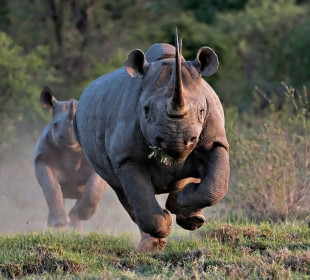 18 Day Private South Africa, Swaziland, Lesotho & Mozambique