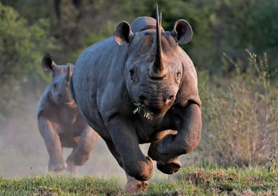 18 Day Private South Africa, Swaziland, Lesotho & Mozambique