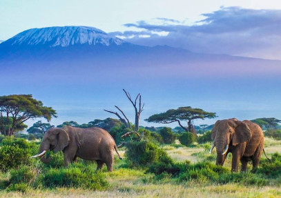 3-Day Amboseli National Park Safari