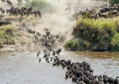 3-Day Fly-in Sleeping with Lions Safari in Serengeti