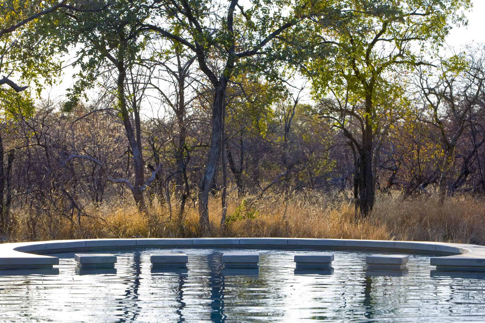 Mushara Bush Camp Pool 1