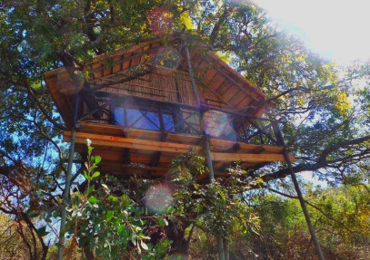 6-Day Tree Top Safari in Kruger National Park