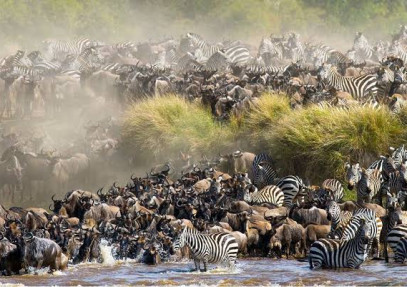 3-Day Maasai Mara Great Migration