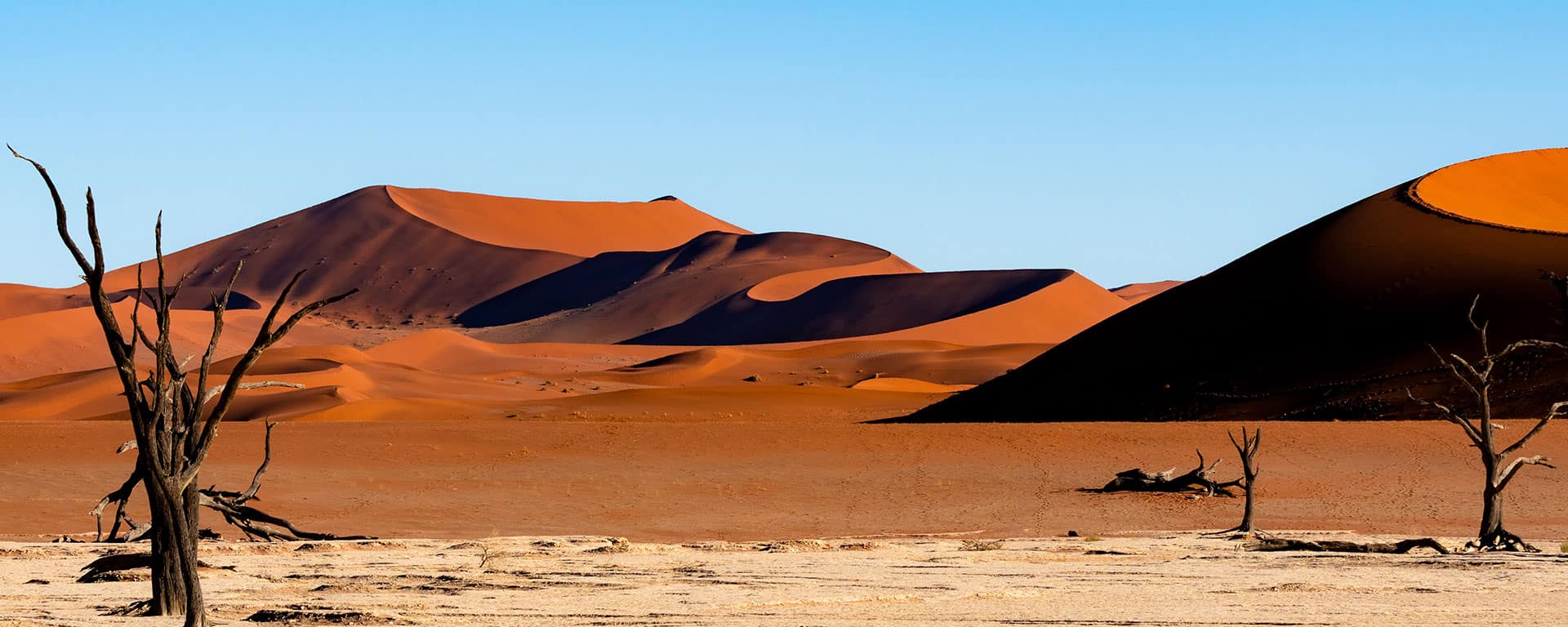 Deadvlei Namib Naukluft National Park Sossusvlei Namibia Dead Camelthorn Trees Against Orange Sand Dunes With Blue Sky