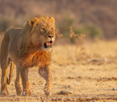 Etosha National Park Credit Ute Von Ludwiger 11