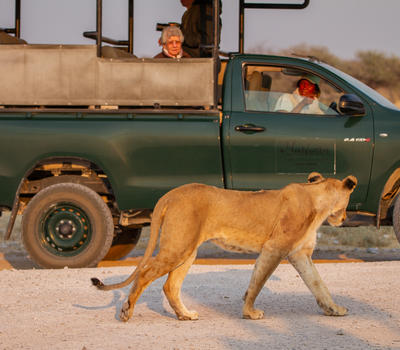 Etosha National Park Credit Ute Von Ludwiger 17