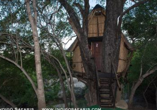 Marcs Treehouse 5292