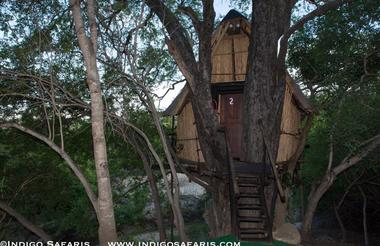 Marcs Treehouse 5292