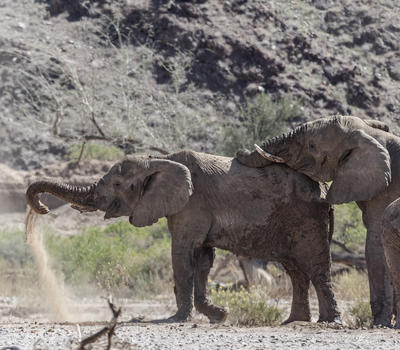 Ondili Twyfelfontein Adventure Camp Venture Media 93361