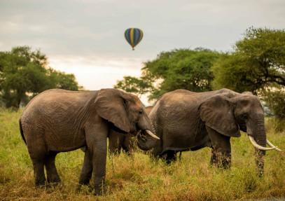 6-Day Classic Best of Northern Tanzania Safari