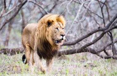 Zululand Rhino Reserve 9973