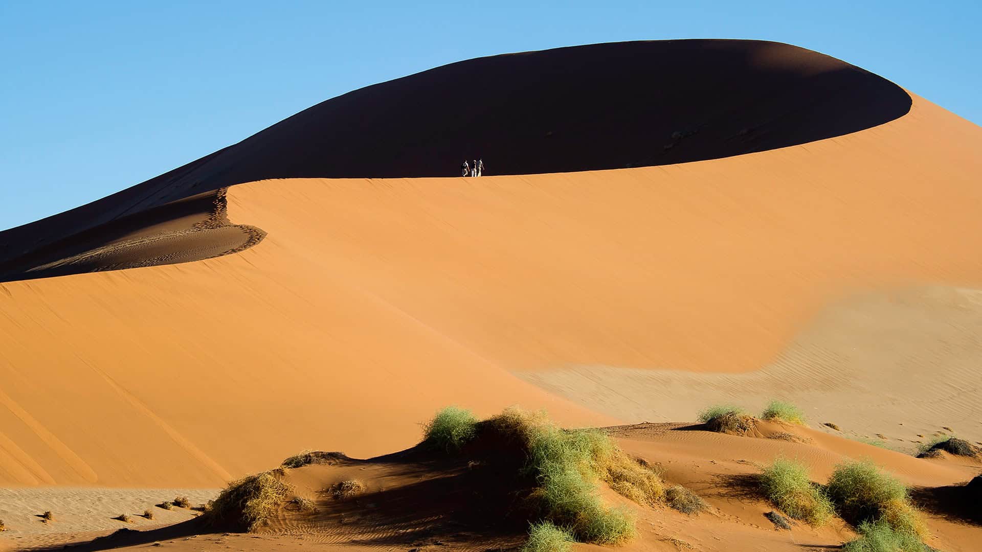 © Wildernes Big Daddu Sands Dune