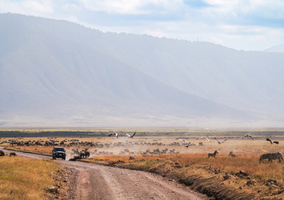 5-Day Tanzania Comfort Wildlife Experience Safari