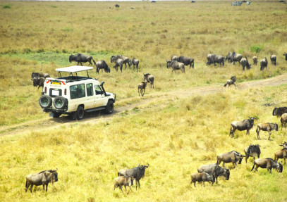 7 Days Best of Kenya Parks Safari