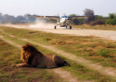 3-Day Flying Safari to Masai Mara