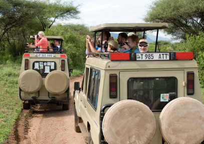 6-Day Tarangire, Serengeti, Ngorongoro & Manyara Safari