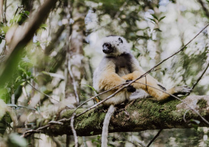 16-Day Madagascar, Island of Lemurs and A Thousand Cultures