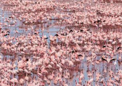 8-Day Northern Tanzania and Lake Natron Trip