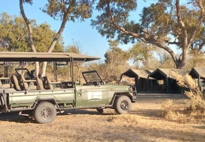 3-Day Moremi Game Reserve Explorer