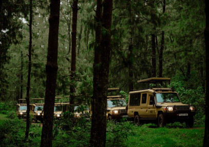 13-Day Safari to Bush and Zanzibar Island
