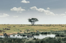 3-Day Journey into Tanzania’s Heart – Serengeti & Ngorongoro