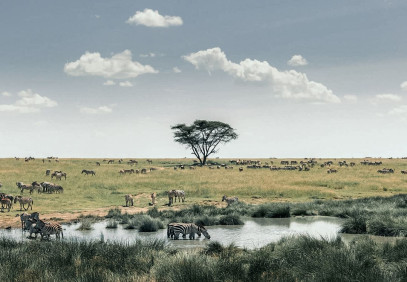 3-Day Journey into Tanzania’s Heart – Serengeti & Ngorongoro