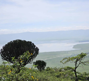 4-Day Tanzania Tour Tarangire, Serengeti & Ngorongoro