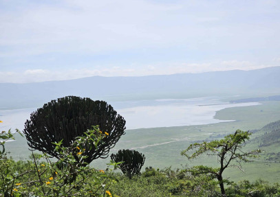 4-Day Tanzania Tour Tarangire, Serengeti & Ngorongoro