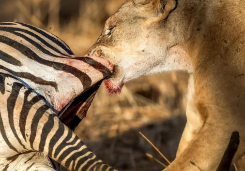 36b81aca5f3c4e0f819f00e197eed4d1