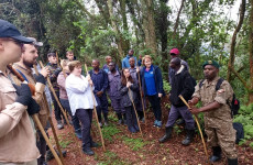 12 Days Uganda Primates & Wildlife Safari