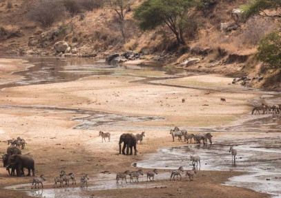 3-Day Serengeti and Ngorongoro Crater Safari
