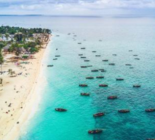 12-Day Kenya & Tanzania Wildlife and Zanzibar Beach Safari