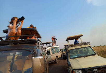 7 Days Uganda Primates and Wildlife Safari