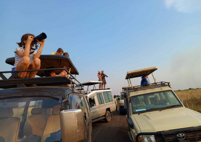 7 Days Uganda Primates and Wildlife Safari