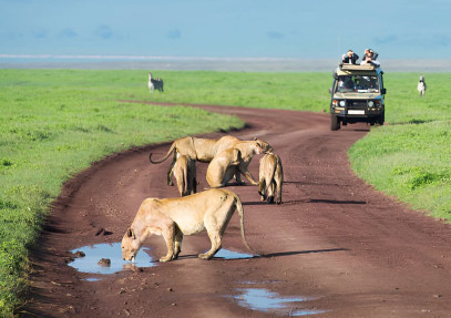 4 Days Wildlife Safari after Climbing Kilimanjaro