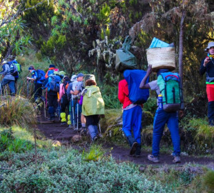 6 Days Marangu Route Kilimanjaro Climb