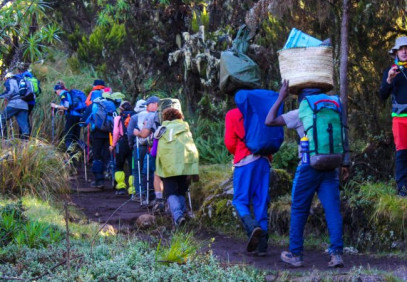 6 Days Marangu Route Kilimanjaro Climb