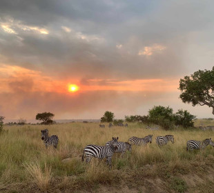 8-Day Serengeti Wildebeest Safari Adventure