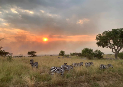 8-Day Serengeti Wildebeest Safari Adventure