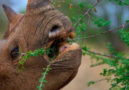 Whatsapp Image 2025 02 13 At 10.42.08