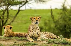 8-Day Journey through Wilderness and Culture