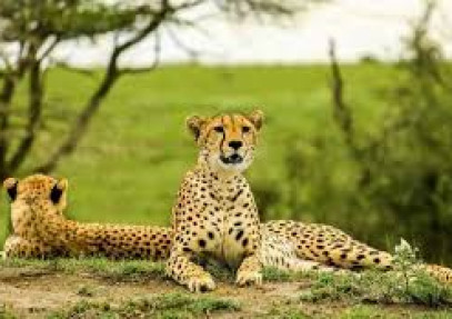 8-Day Journey through Wilderness and Culture