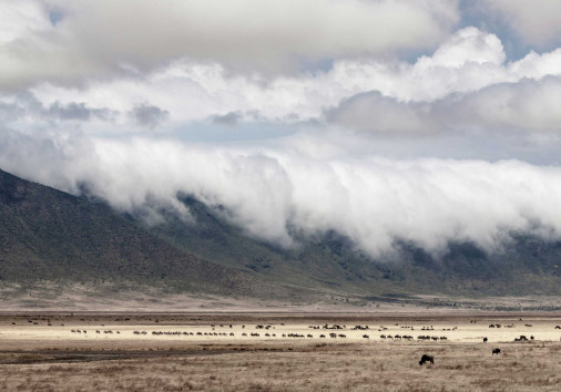 Ngorongoro 2
